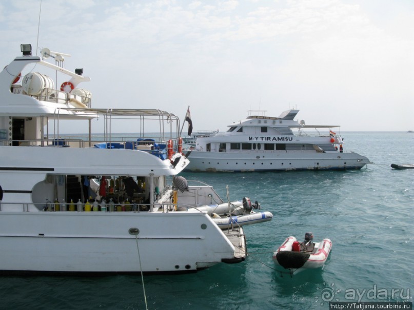 Подводный мир Марса-Алам