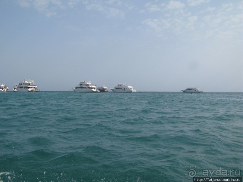 Подводный мир Марса-Алам