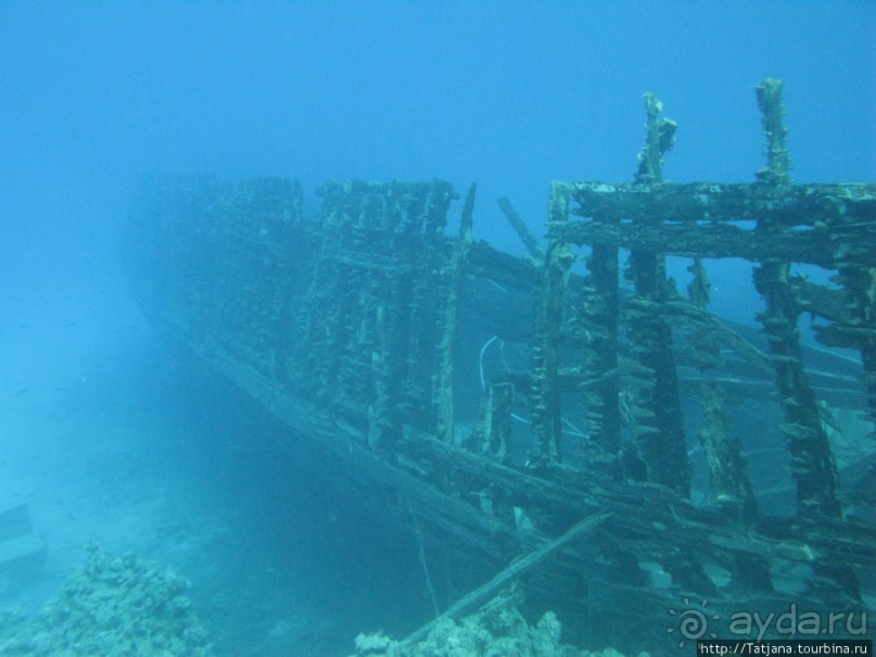 Подводный мир Марса-Алам