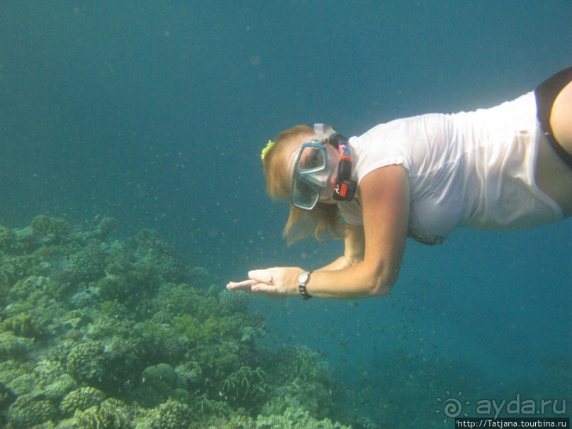 Подводный мир Марса-Алам