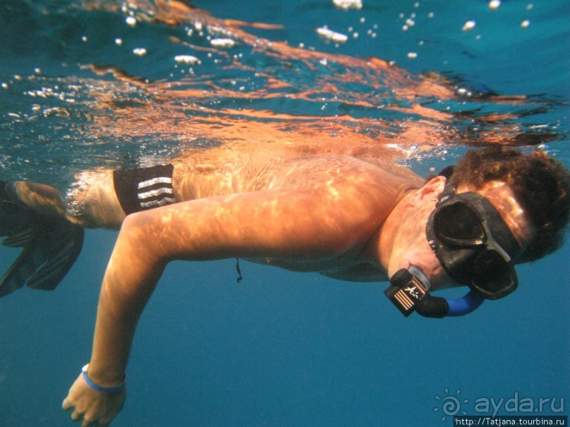 Подводный мир Марса-Алам