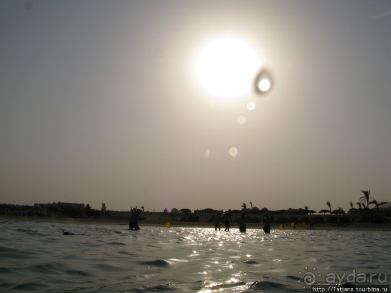 Подводный мир Марса-Алам