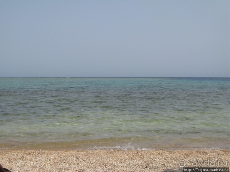 Подводный мир Марса-Алам