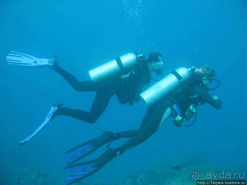 Подводный мир Марса-Алам