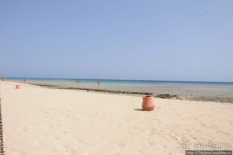 Подводный мир Марса-Алам