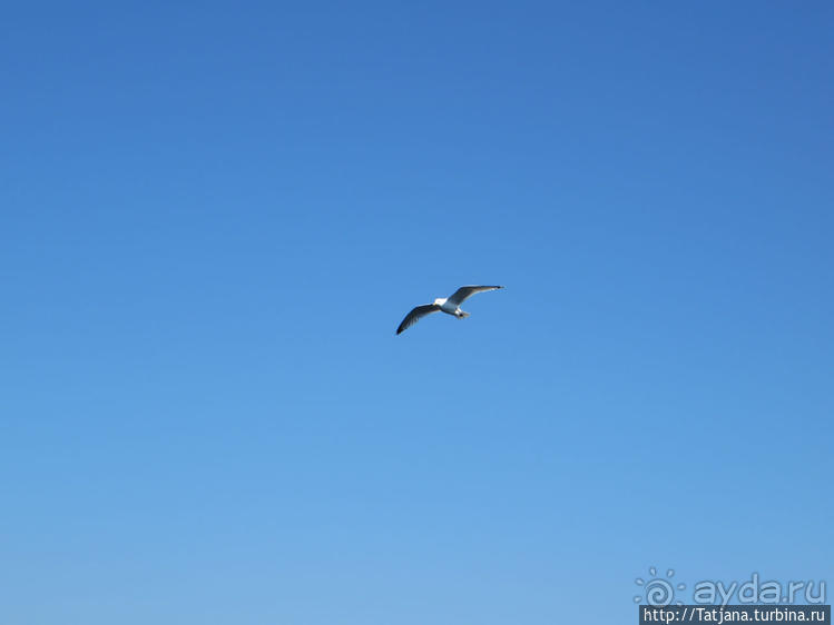Несколько часов в городе Ньюкасл на Тайне