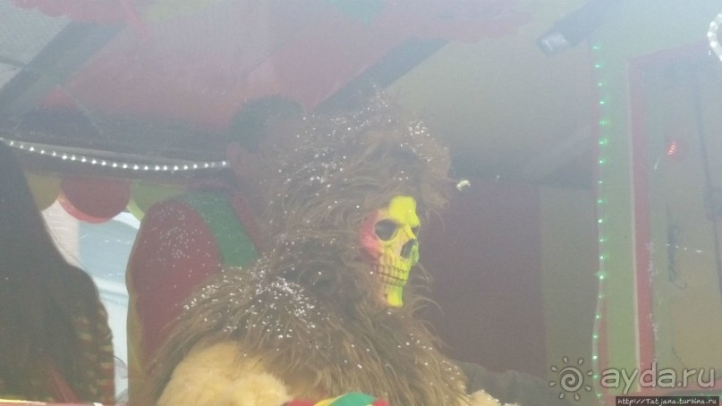 Продолжаем карнавальный репортаж из Голландии