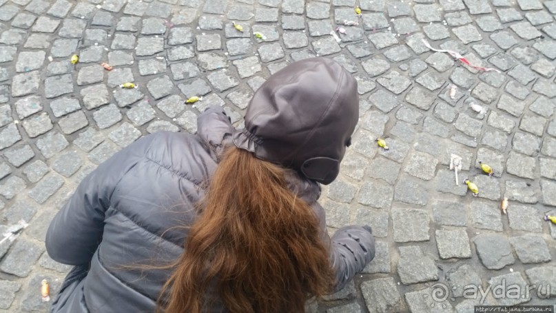 Продолжаем карнавальный репортаж из Голландии