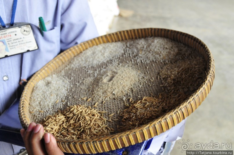 Рисовая фабрика