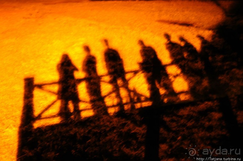 Африка — это прелесть