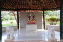 Африка — это прелесть