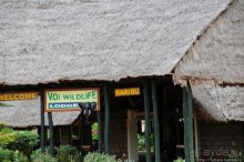 Африка — это прелесть