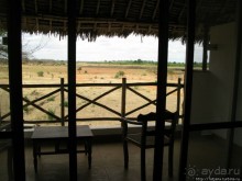 Африка — это прелесть