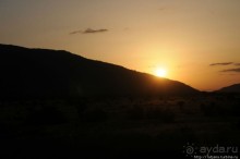 Африка — это прелесть