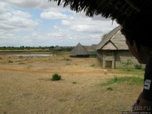 Африка — это прелесть