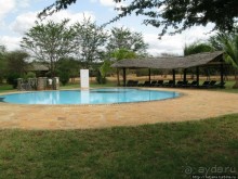 Африка — это прелесть