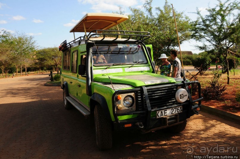 Африка — это прелесть