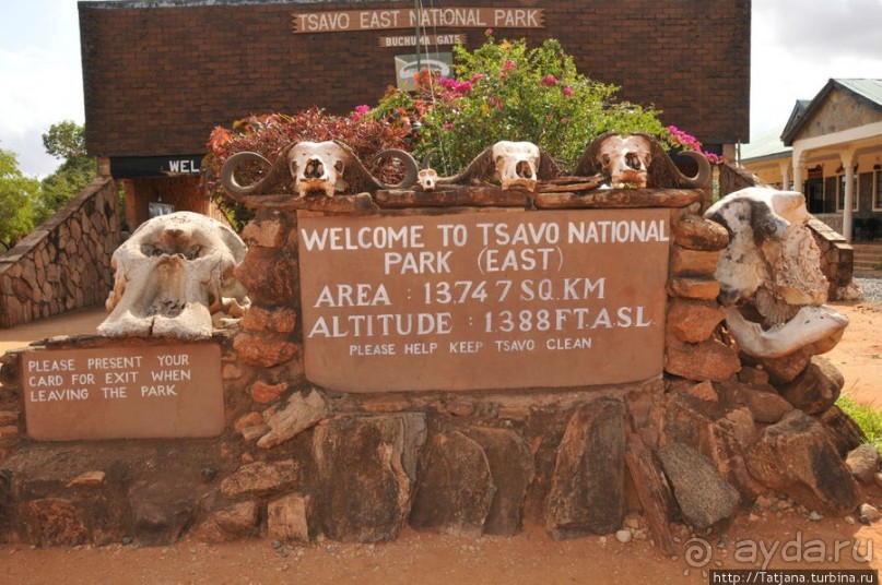 Африка — это прелесть