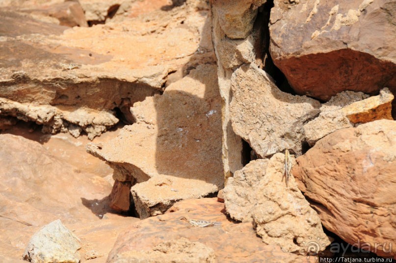 Африка — это прелесть