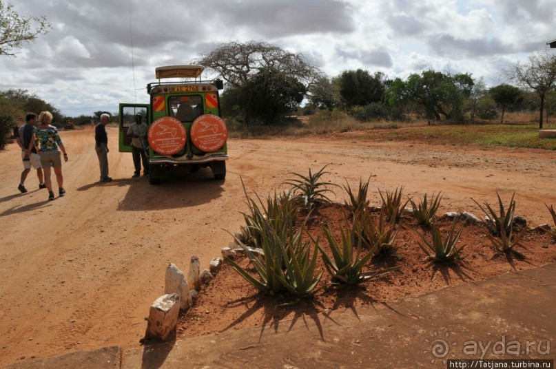 Африка — это прелесть