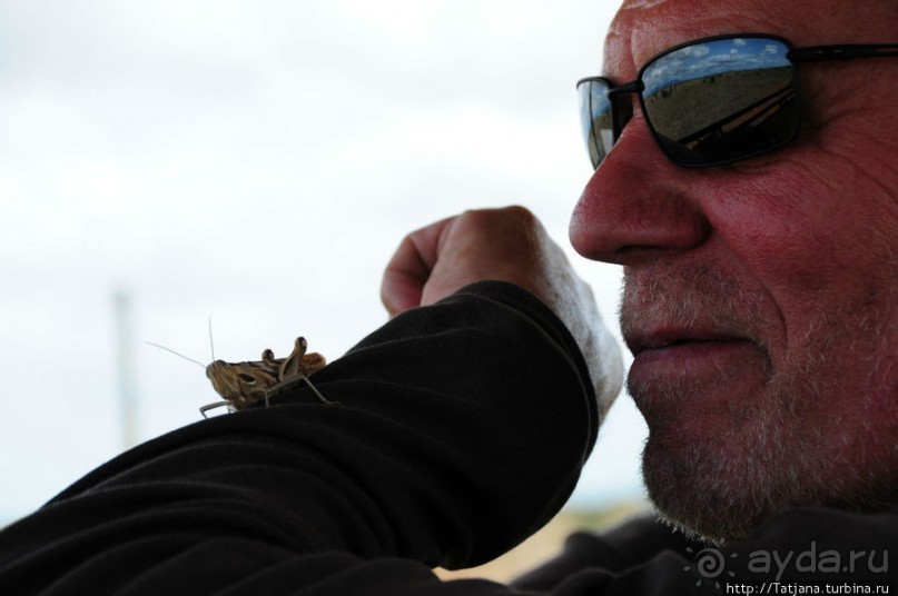 Африка — это прелесть