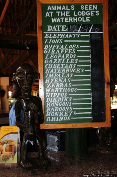 Африка — это прелесть