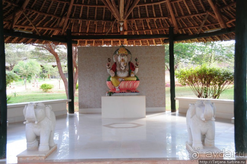 Африка — это прелесть