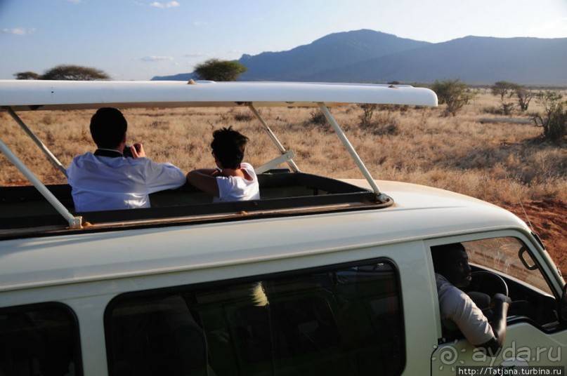 Африка — это прелесть