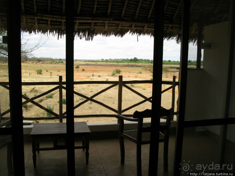 Африка — это прелесть