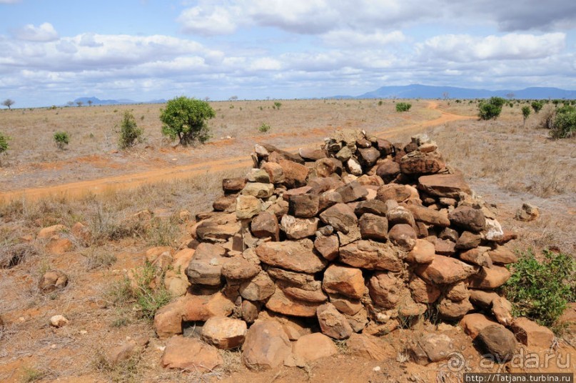 Африка — это прелесть