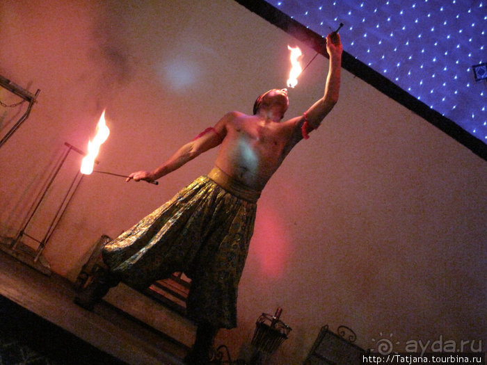 Альбом отзыва "Шоу тунисских факиров."