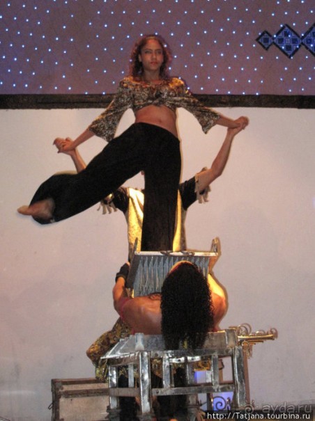 Альбом отзыва "Шоу тунисских факиров."