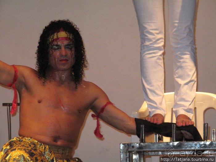 Альбом отзыва "Шоу тунисских факиров."