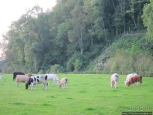 Отель-ресторан в Лимбурге "Overste Hof"