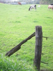 Отель-ресторан в Лимбурге "Overste Hof"