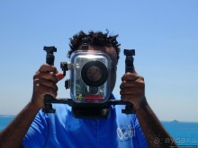 Поплавать вместе с дельфинами