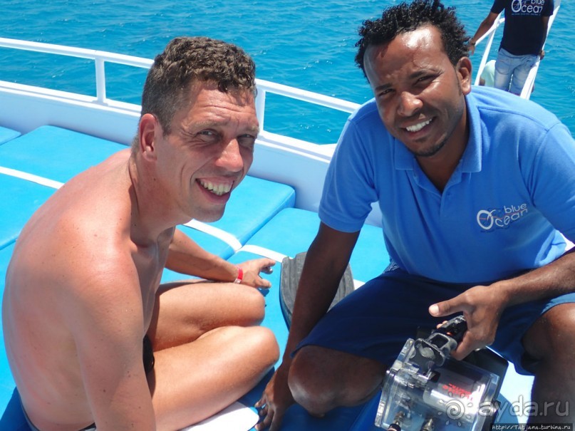 Поплавать вместе с дельфинами