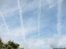 Альбом отзыва "Радар на Голландские дожди"