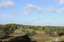 Альбом отзыва "Радар на Голландские дожди"