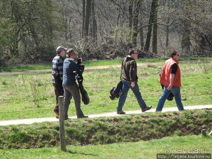 Гольфпарк Кохем