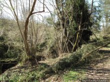 Гольфпарк Кохем