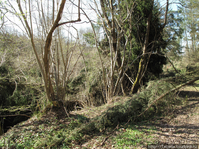 Гольфпарк Кохем