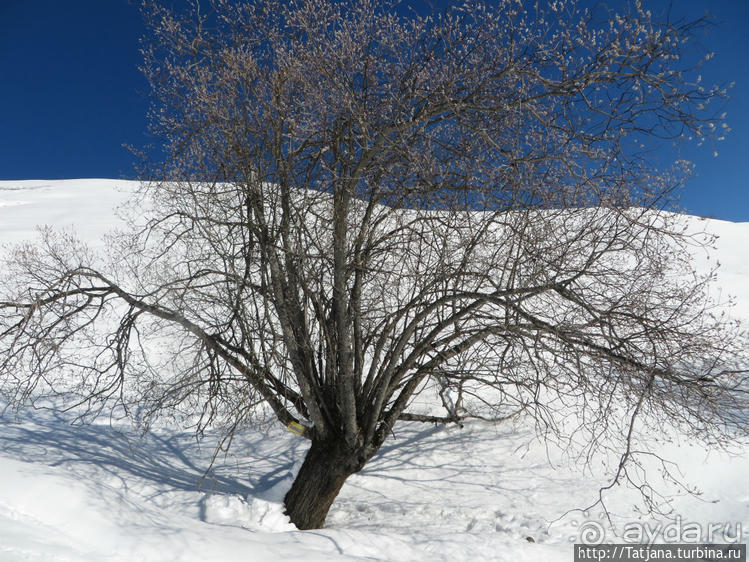 Знакомство с горнолыжным курортом Ле-Сибель
