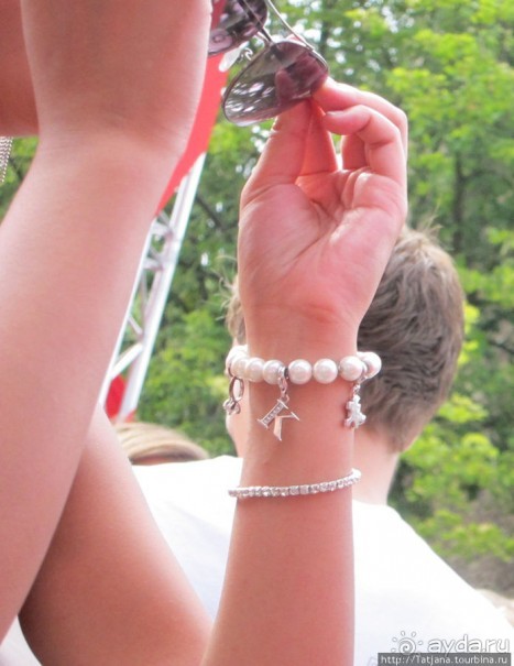 Альбом отзыва "Как отрывается Голландская молодежь (Castle of Love 2011)"