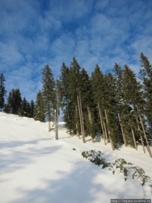 Горнолыжная Австрия и какие бывают лыжи