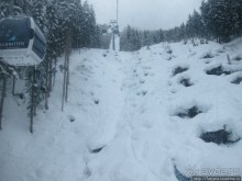 Горнолыжная Австрия и какие бывают лыжи