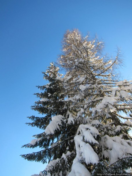 Альбом отзыва "Горнолыжная Австрия и какие бывают лыжи"