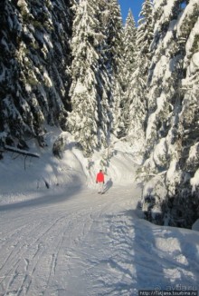 Альбом отзыва "Горнолыжная Австрия и какие бывают лыжи"
