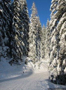 Альбом отзыва "Горнолыжная Австрия и какие бывают лыжи"
