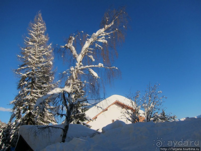 Альбом отзыва "Горнолыжная Австрия и какие бывают лыжи"